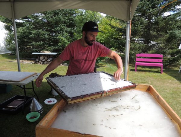 Quand Art Et Environnement Se Rencontrent L Info De La Vall E