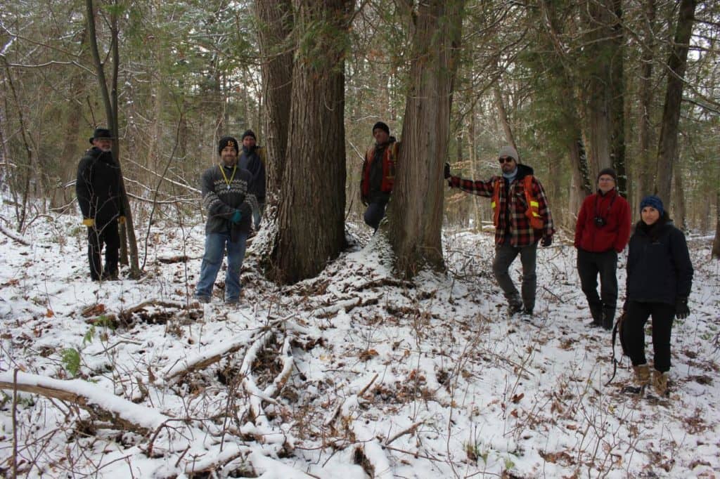 Sauver une forêt ou faire du développement?