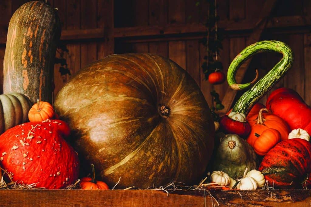 Attirer les gens par la bouffe lors d’un marché spécial récoltes d’automne