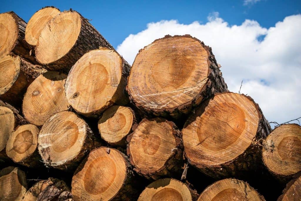 14,3 M$ pour venir en aide rapidement à l’industrie forestière