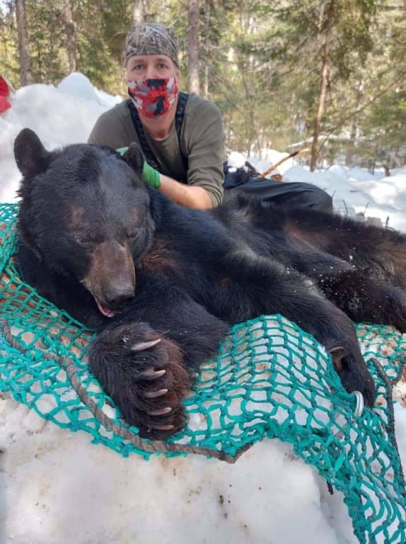 La promenade de « nounours » en 2018: une donnée qui fait du chemin