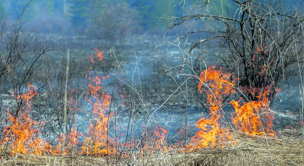 Bilan 2018 de la SOPFEU: une saison plus active que d’habitude