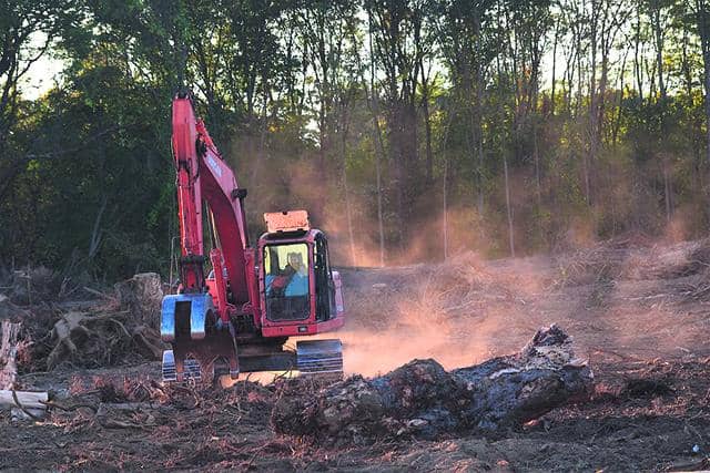 Les travaux forestiers et sylvicoles peuvent reprendre, dit la SOPFEU