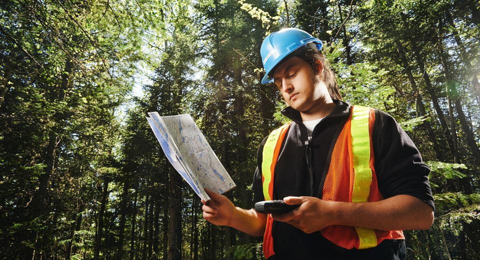 Consultation publique sur les plans d’aménagement forestier intégré opérationnels