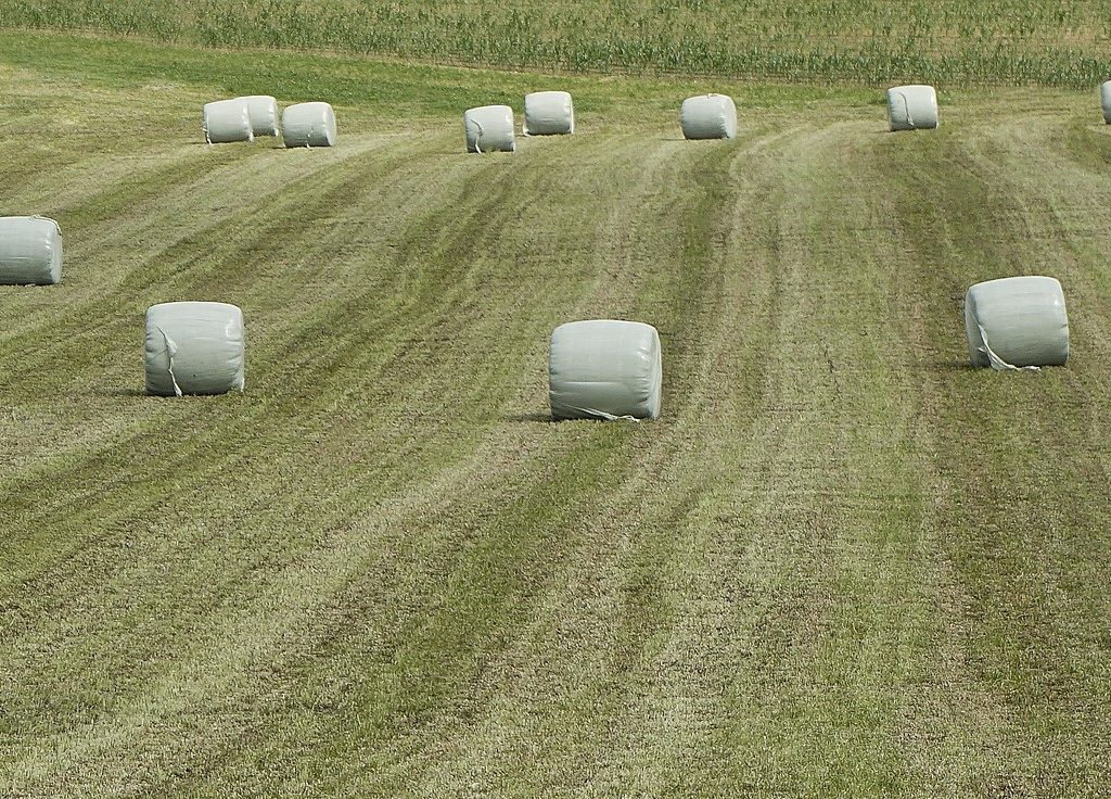 Mise en place d’un projet pilote de récupération de plastique agricole