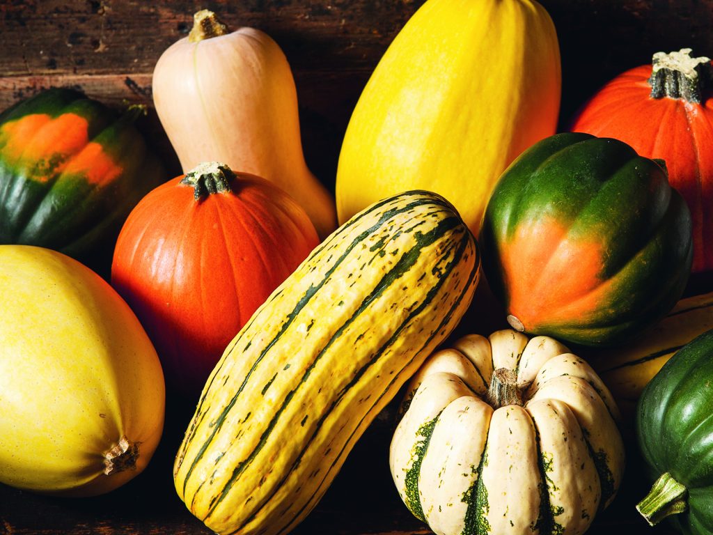 Cet automne, mettez les courges au menu!