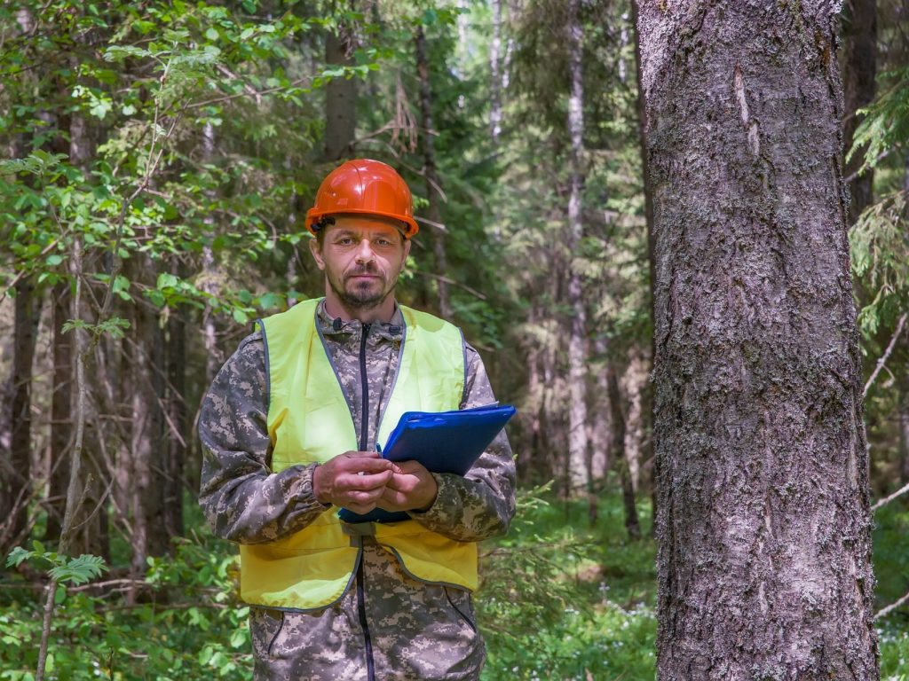 Des travaux d’inventaire forestier en cours dans les Laurentides et l’Outaouais