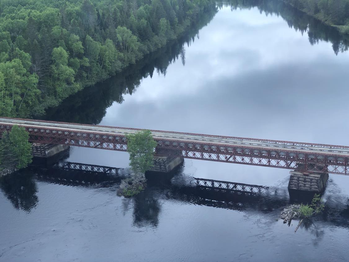 Pont de métal au-dessus d'une rivière en pleine forêt.