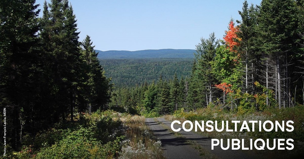 Une consultation publique pour un plan d’aménagement forestier